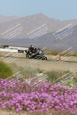 media/Feb-04-2023-SoCal Trackdays (Sat) [[8a776bf2c3]]/Turn 15 Inside Blooming (1050am)/